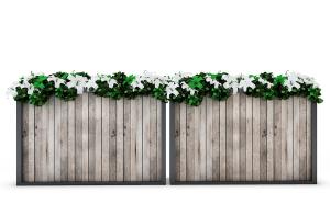 在木板花池、花箱中的百合盆栽花卉