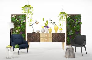 龟背竹、绿萝、类似变色木的花瓶花卉画框植物