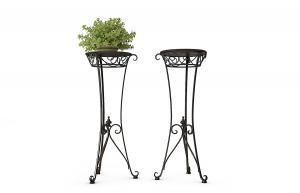 铁艺花架、形似薄荷的盆栽植物