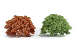 景观树木之形似枫树、鸡爪槭