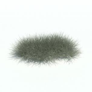 沙拐枣花草绿植