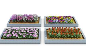 长方形花池花草花卉庭院园艺小品