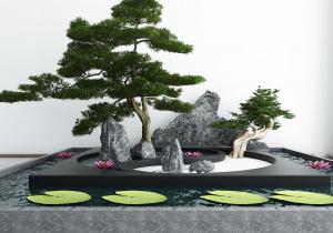 中式景观池塘、太湖石、松树和睡莲庭院景观小品