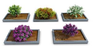 方形花池花卉庭院园艺小品