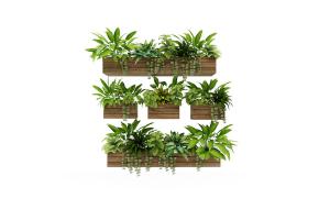 木质花箱花池盆栽植物