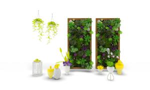 多肉植物、龟背竹、银莲、绿萝画框植物墙