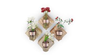 姜花、郁金香、牡丹、月季花瓶花卉