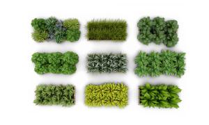 多种植物组合植物墙