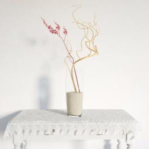 红花矾根盆栽花卉