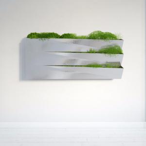 形似白发藓墙饰植物