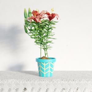 百合花盆栽花卉