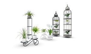 芦荟、千年木、白掌盆栽植物 鸟笼花架