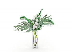 蝴蝶兰、龟背竹花瓶花卉