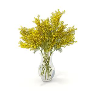 形似银柳的花瓶花卉