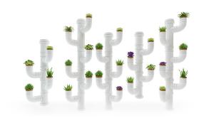 绿萝、多肉植物、芦荟盆栽植物墙