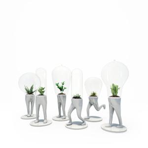 菖蒲、十二卷、人物灯泡造型花盆植物