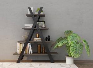 现代黑色X形咖啡色书架、龟背竹组合