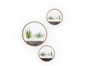 现代植物水草墙饰、挂件