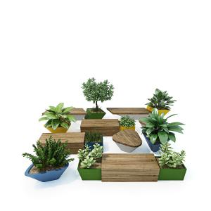 白掌、雪铁芋、形似十字星锦盆栽植物