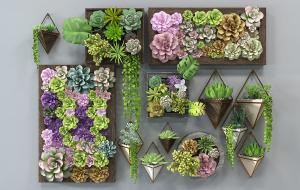 北欧长方形、方形、圆形和钻石形多肉画框植物墙