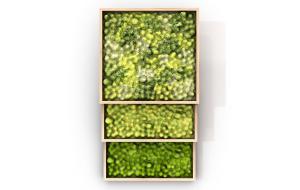 类似青苔的方框叠放的植物墙