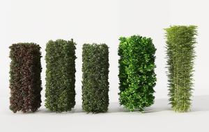 长方体、圆柱体园林植物和竹子灌木绿植