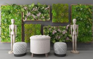 长方形画框龟背竹、冷水花植物墙