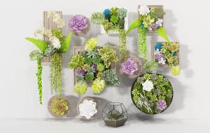 北欧方形、圆形多肉画框植物墙