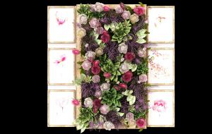 现代画框和玫瑰花、紫草植物墙