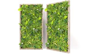 长方形画框形似鹅掌柴植物墙