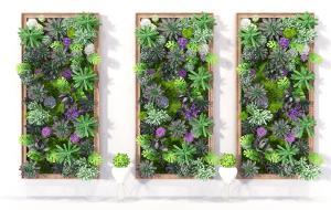 现代画框多肉植物墙