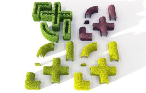 十字形、圆弧形园林景观造型植物