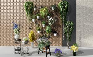 绿萝、吊篮、花盆花卉植物、铁艺花架