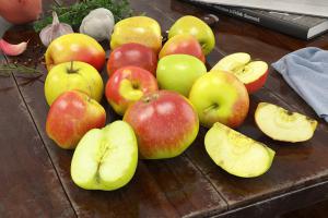 水果之红苹果、青苹果