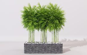 长方形花池竹子