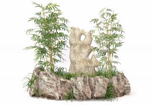 假山、青竹园林景观