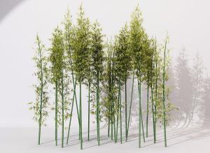 一丛竹子、竹竿