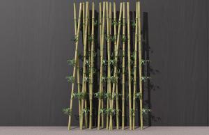 竹竿、竹子篱笆墙