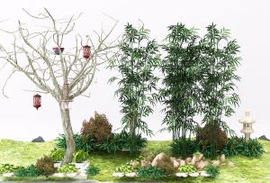 三丛青竹、草地景观植物