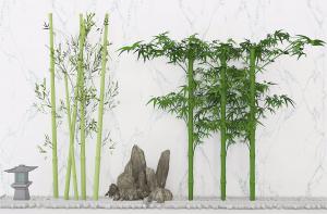 竹竿、粗杆毛竹