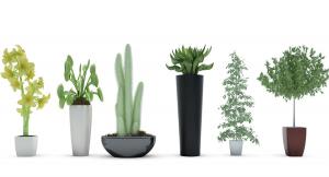 捕蝇草、百合花、形似茵陈蒿盆栽植物