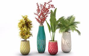 旅人蕉、形似鸡爪槭、形似高粱花瓶花卉