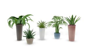 柱形高深花盆 盆栽植物