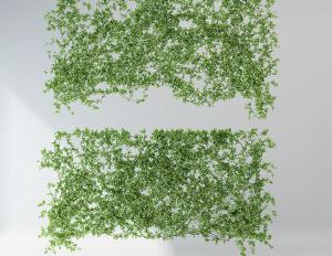 藤蔓植物背景墙