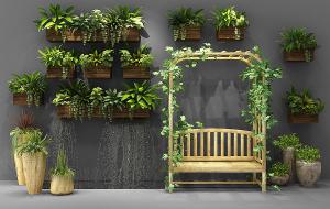 阳台墙面盆栽、户外椅藤蔓植物