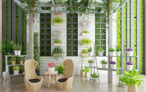 花房户外阳台花架藤蔓植物、植物墙