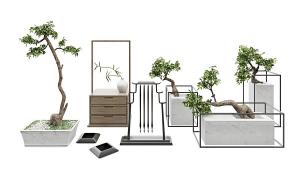 不同造型的幌伞枫盆景植物