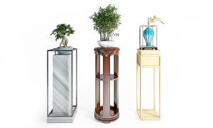 瓜栗、垂叶榕、形似蝴蝶兰盆景植物