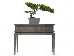 六月雪盆景植物