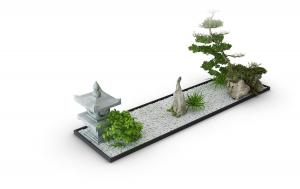 金钱蒲、罗汉松花池植物